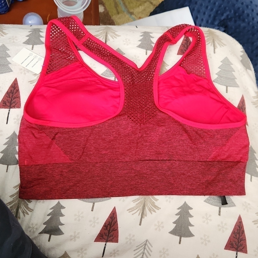 Pink Sports Bra Champion Sports Bra Large - Picture 3 of 7